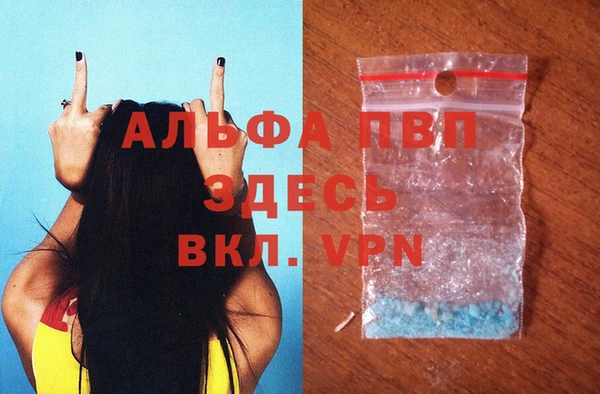 гидра Алексин