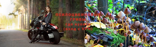 гидра Алексин