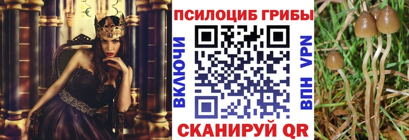 сколько стоит Асбест Галлюциногенные грибы Psilocybine cubensis