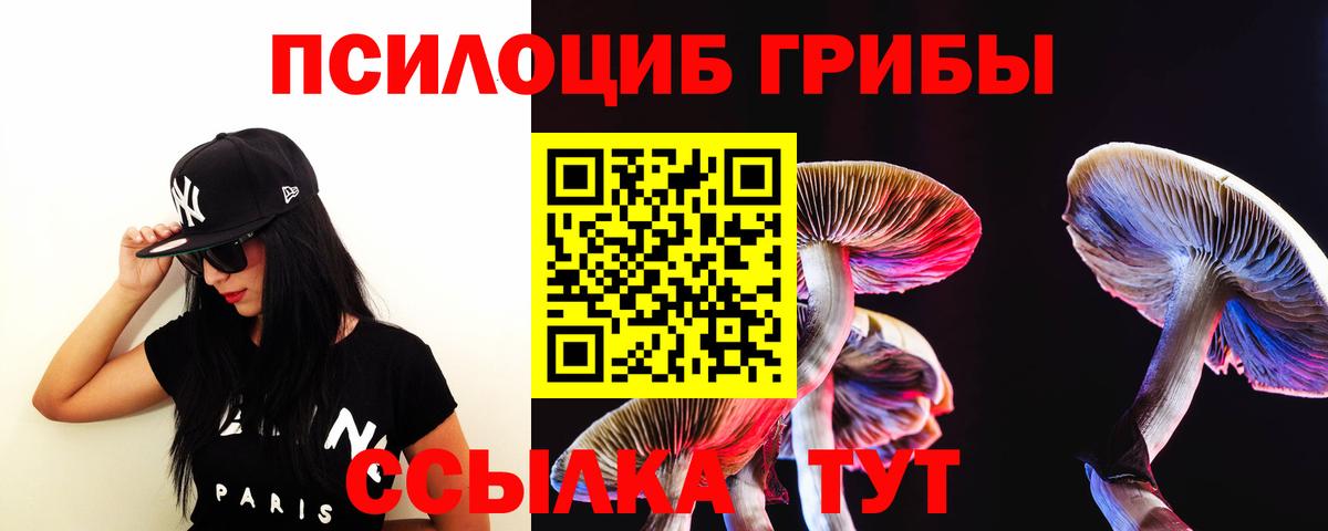 Галлюциногенные грибы GOLDEN TEACHER Асбест