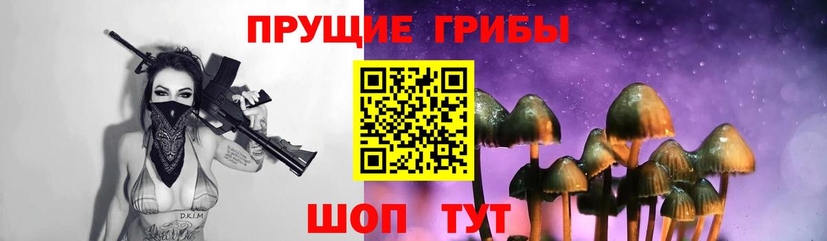 Галлюциногенные грибы Psilocybe  Вход с VPN  Галлюциногенные грибы Psilocybine cubensis  Асбест 